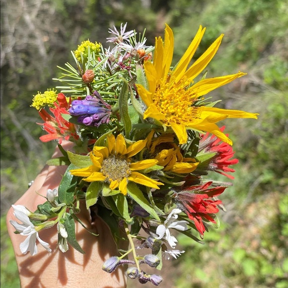 Meet your Posher, Melissa - Picture 1 of 1